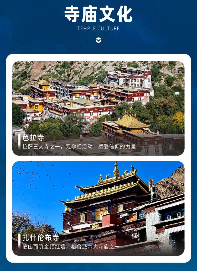 第一套-遇见西藏1_04